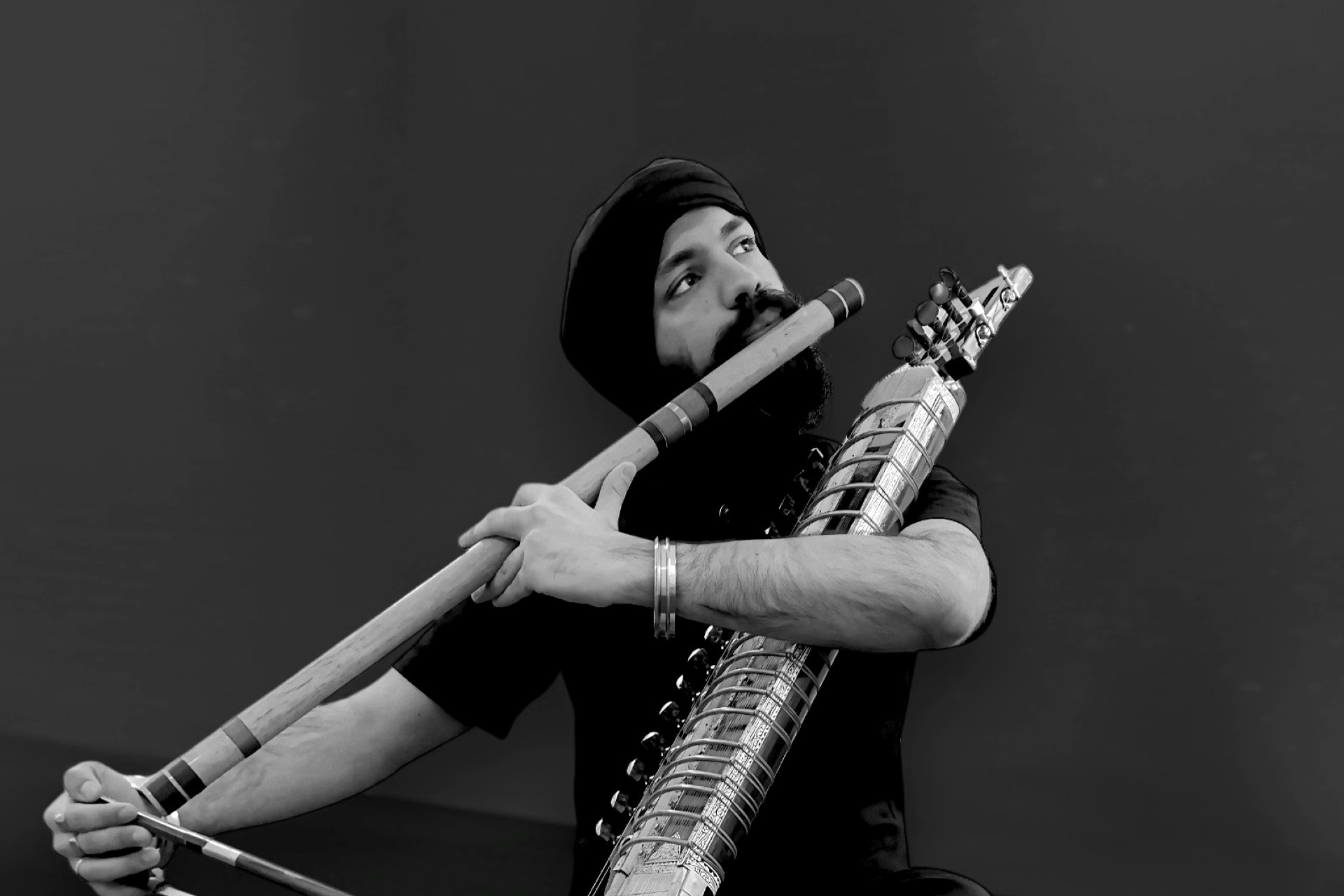 Music in the Museum