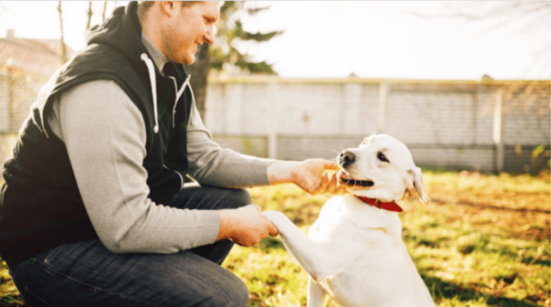 Pet Loss Cafe