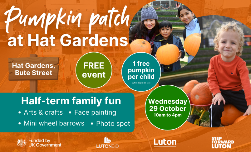 Pumpkin patch in Hat Gardens Pumpkin patch in Hat Gardens