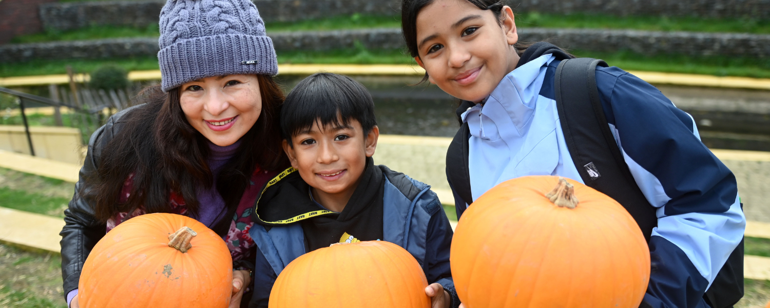 Step Forward Luton's Pumpkin Patch in Hat Gardens